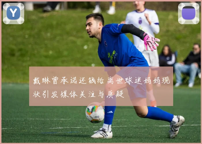 戴琳曾承诺还钱给离世球迷妈妈现状引发媒体关注与质疑