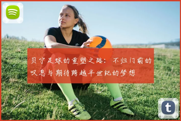 贝宁足球的重塑之路：不归门前的叹息与期待跨越半世纪的梦想