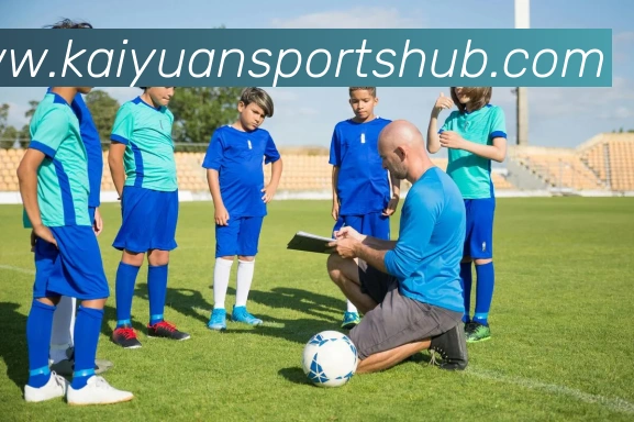 开元体育平台生态图